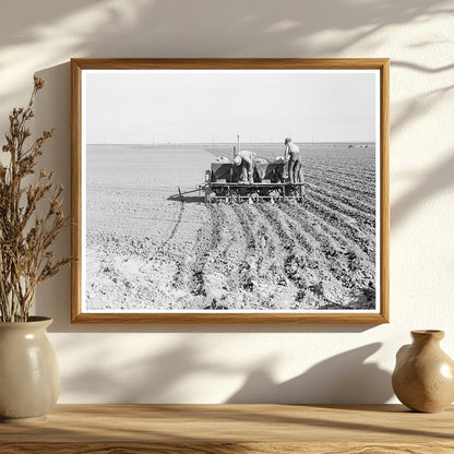 Mechanized Potato Planter in Kern County 1939 - Available at KNOWOL