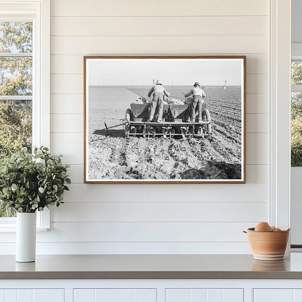 Mechanized Potato Planting in Kern County 1939 - Available at KNOWOL