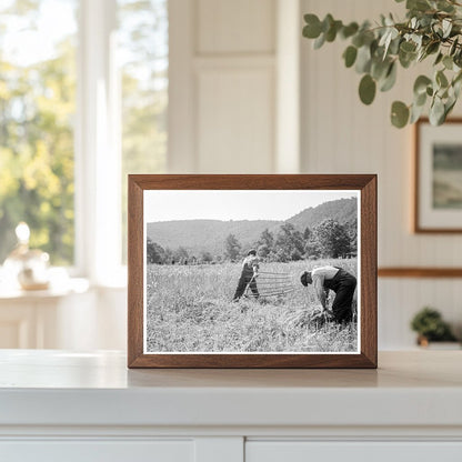 Men Cradling Harvested Wheat in Sperryville Virginia 1936 - Available at KNOWOL