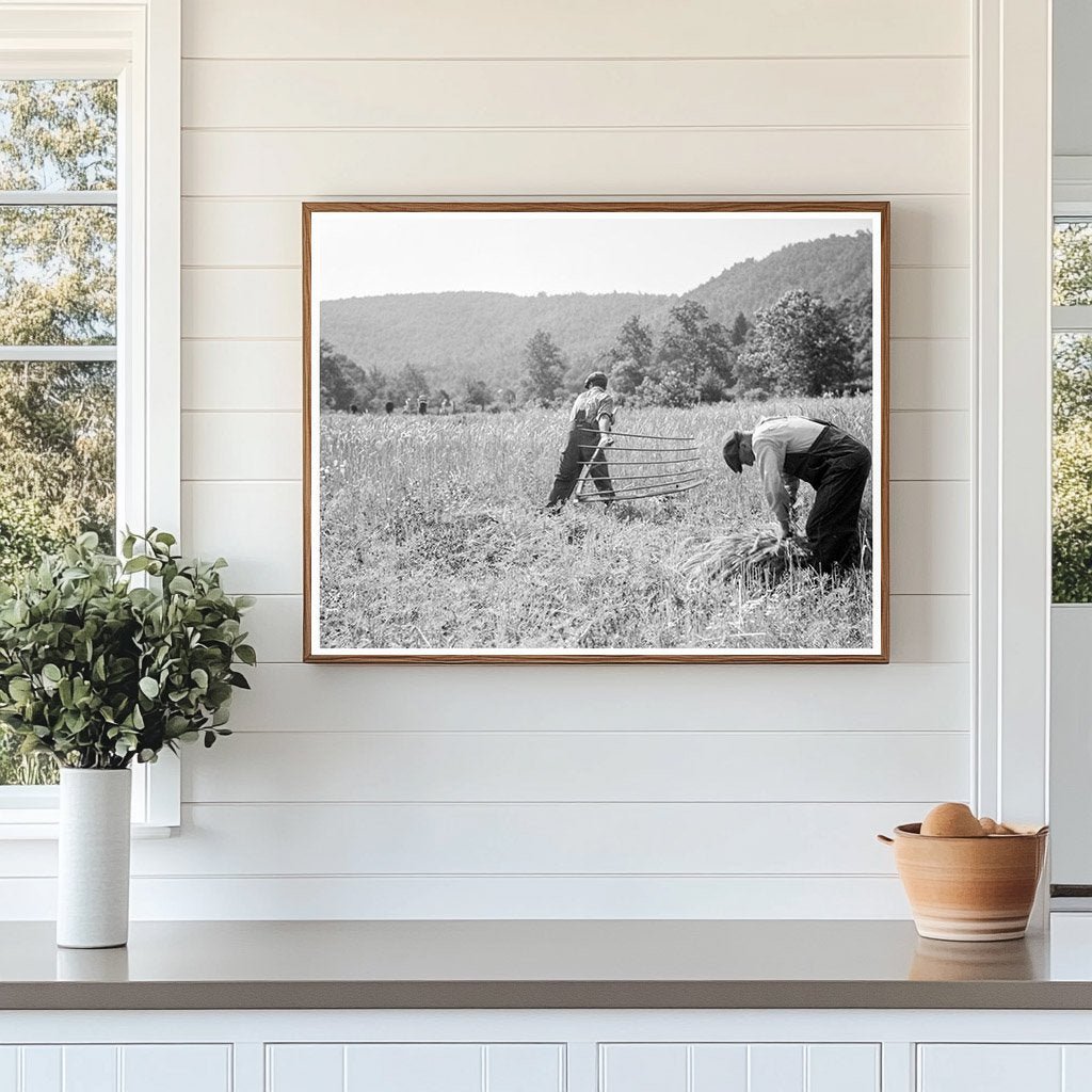 Men Cradling Harvested Wheat in Sperryville Virginia 1936 - Available at KNOWOL