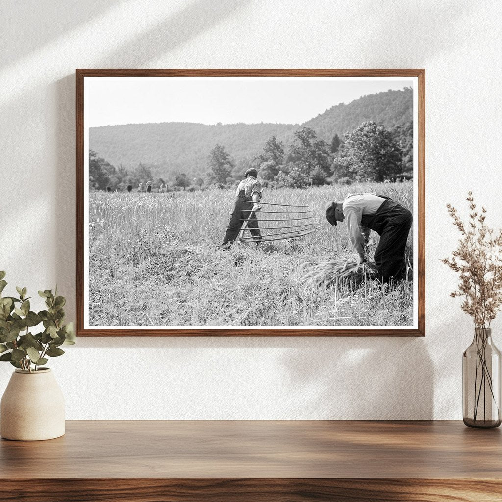 Men Cradling Harvested Wheat in Sperryville Virginia 1936 - Available at KNOWOL