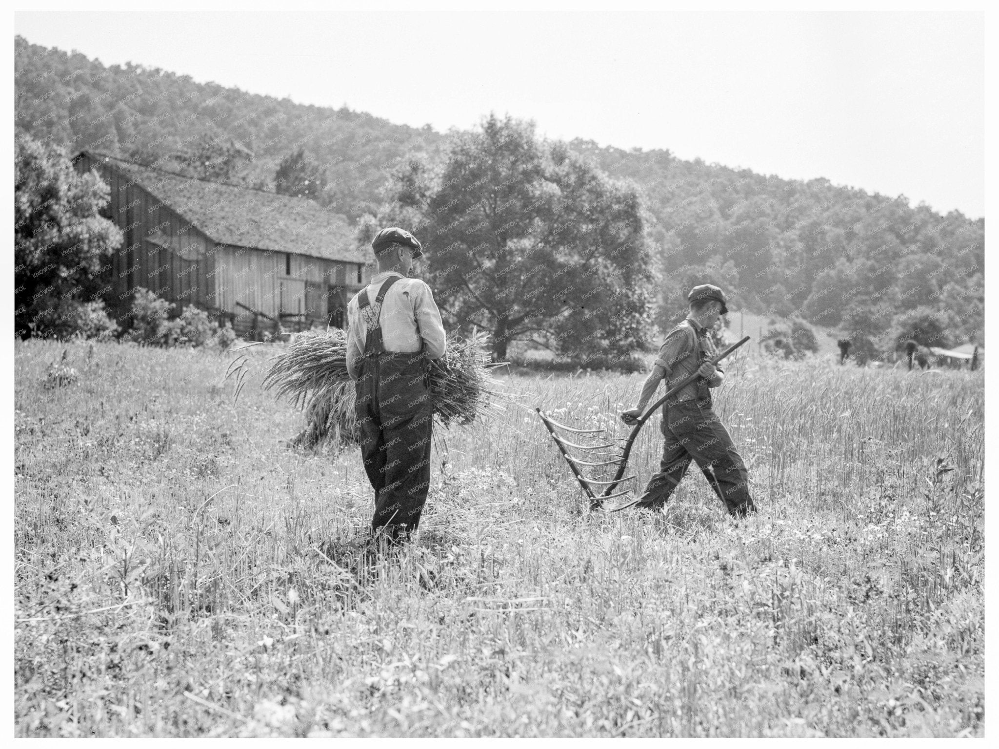 Men Cradling Wheat in Sperryville Virginia 1936 - Available at KNOWOL