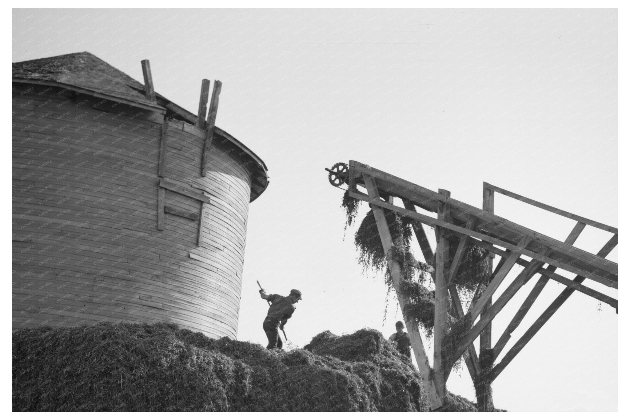 Men Leveling Peas at Vinery in Sun Prairie 1937 - Available at KNOWOL