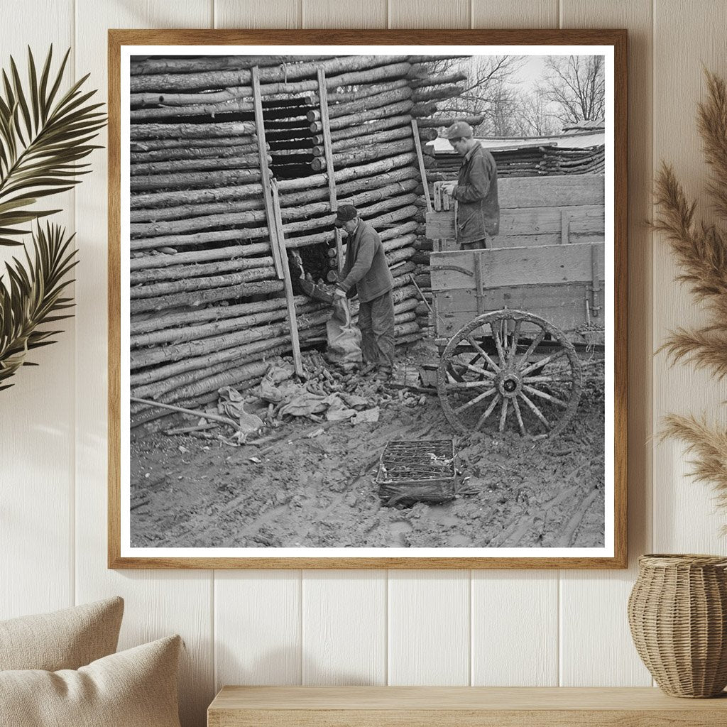 Men Removing Flooded Corn in Indiana February 1937 - Available at KNOWOL