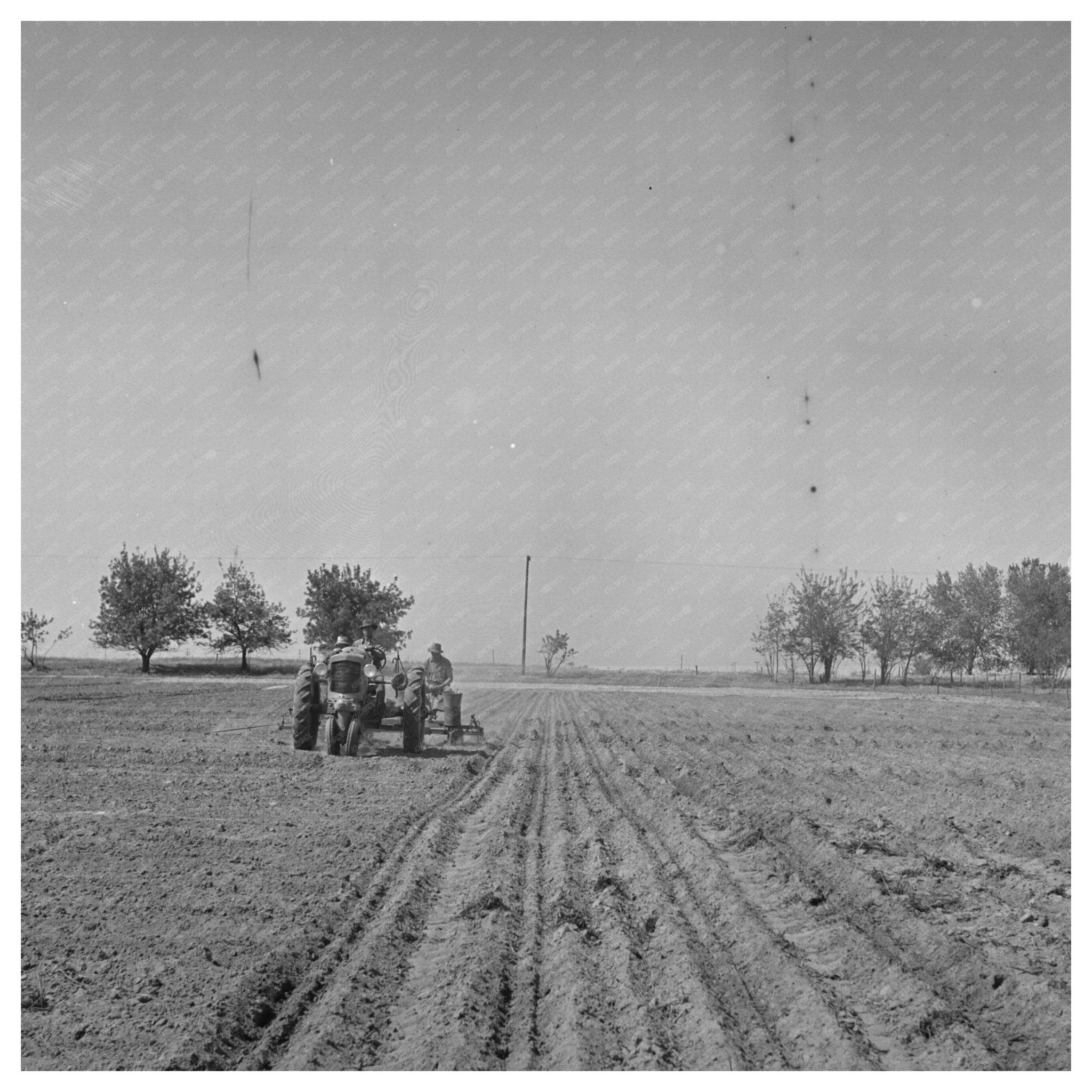 Merced County Agricultural Activity May 1942 - Available at KNOWOL