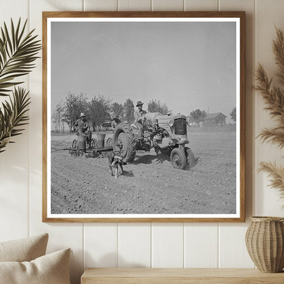 Merced County Peanuts Planting Scene May 1942 - Available at KNOWOL