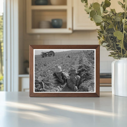 Mexican Agricultural Worker Cultivating Carrots 1939 - Available at KNOWOL