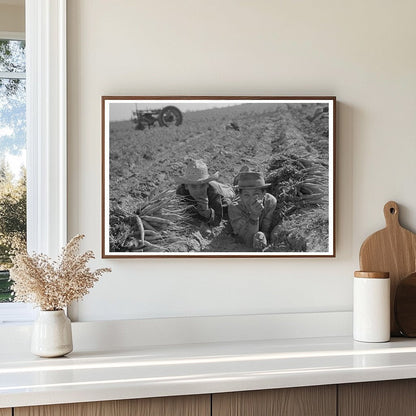 Mexican Agricultural Worker Cultivating Carrots 1939 - Available at KNOWOL