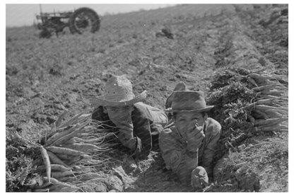 Mexican Agricultural Worker Cultivating Carrots 1939 - Available at KNOWOL