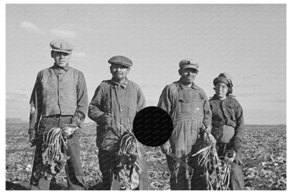 Mexican American Family Farming in Minnesota 1937 - Available at KNOWOL