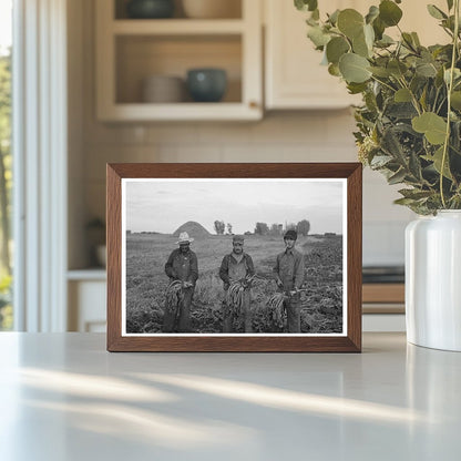 Mexican Beet Workers in Minnesota Sugar Beet Field 1937 - Available at KNOWOL