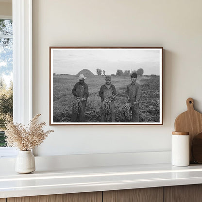 Mexican Beet Workers in Minnesota Sugar Beet Field 1937 - Available at KNOWOL