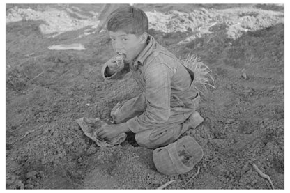 Mexican Boy Eating Breakfast in Carrot Field 1939 - Available at KNOWOL