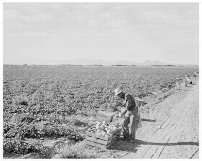 Mexican Cantaloupe Worker Imperial Valley 1938 - Available at KNOWOL