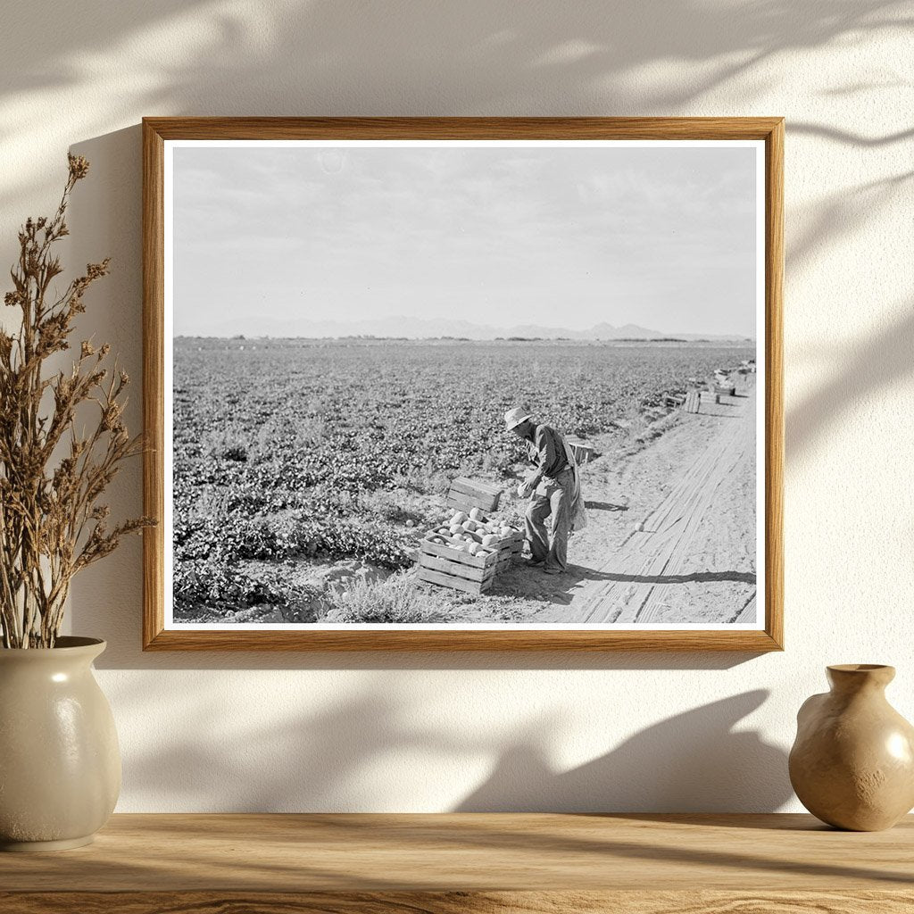 Mexican Cantaloupe Worker Imperial Valley 1938 - Available at KNOWOL