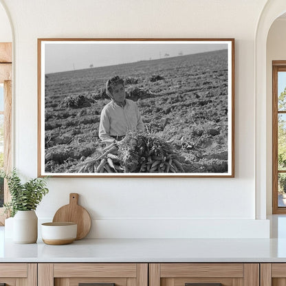 Mexican Carrot Worker in Edinburg Texas 1939 - Available at KNOWOL