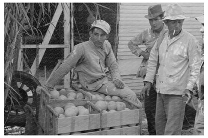 Mexican Citrus Workers in Grapefruit Field 1939 - Available at KNOWOL