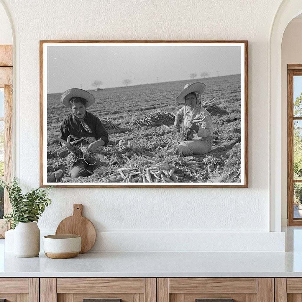 Mexican Couple Carrot Harvesting Edinburg Texas 1939 - Available at KNOWOL