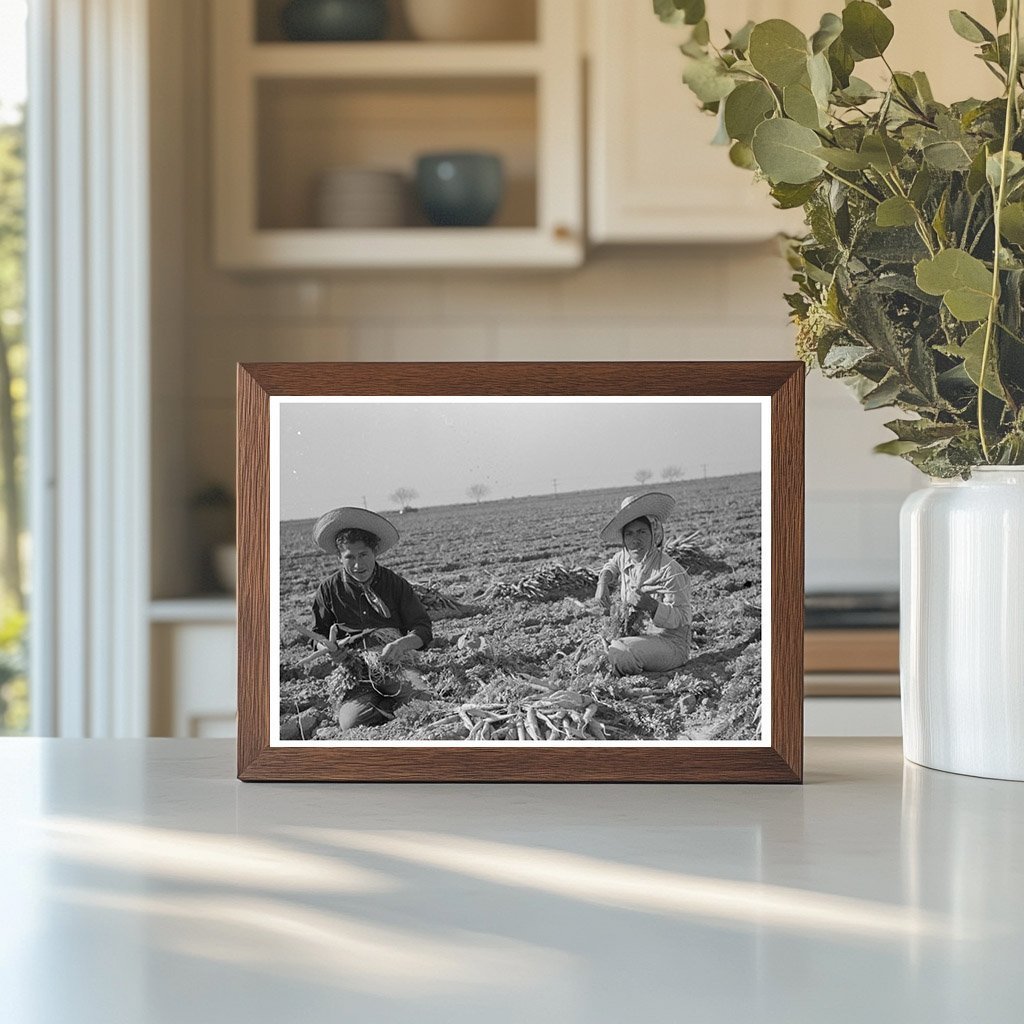 Mexican Couple Carrot Harvesting Edinburg Texas 1939 - Available at KNOWOL