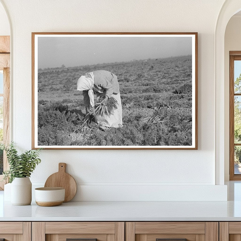 Mexican Girl Carrot Field Edinburg Texas February 1939 - Available at KNOWOL