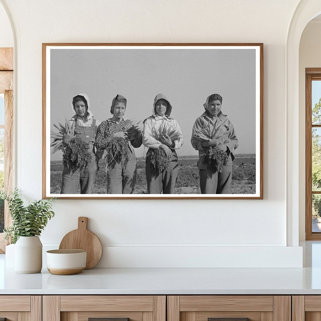 Mexican Girl Carrot Harvesting Edinburg Texas 1939 - Available at KNOWOL