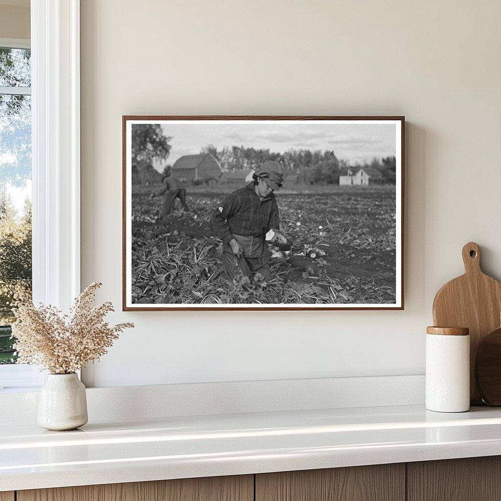 Mexican Girl Topping Sugar Beets East Grand Forks 1937 - Available at KNOWOL