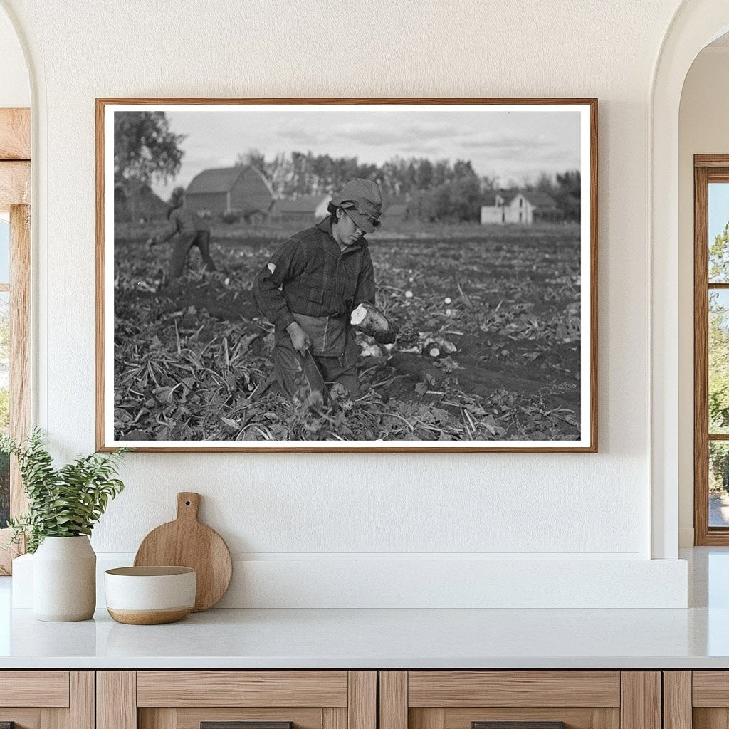 Mexican Girl Topping Sugar Beets East Grand Forks 1937 - Available at KNOWOL