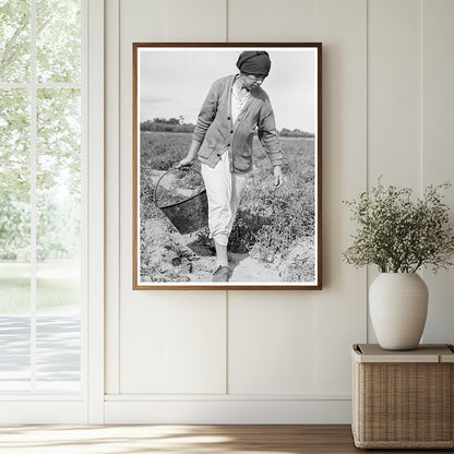 Mexican Grandmother Harvesting Tomatoes 1938 - Available at KNOWOL