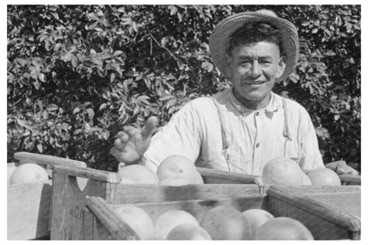 Mexican Grapefruit Worker Weslaco Texas February 1939 - Available at KNOWOL