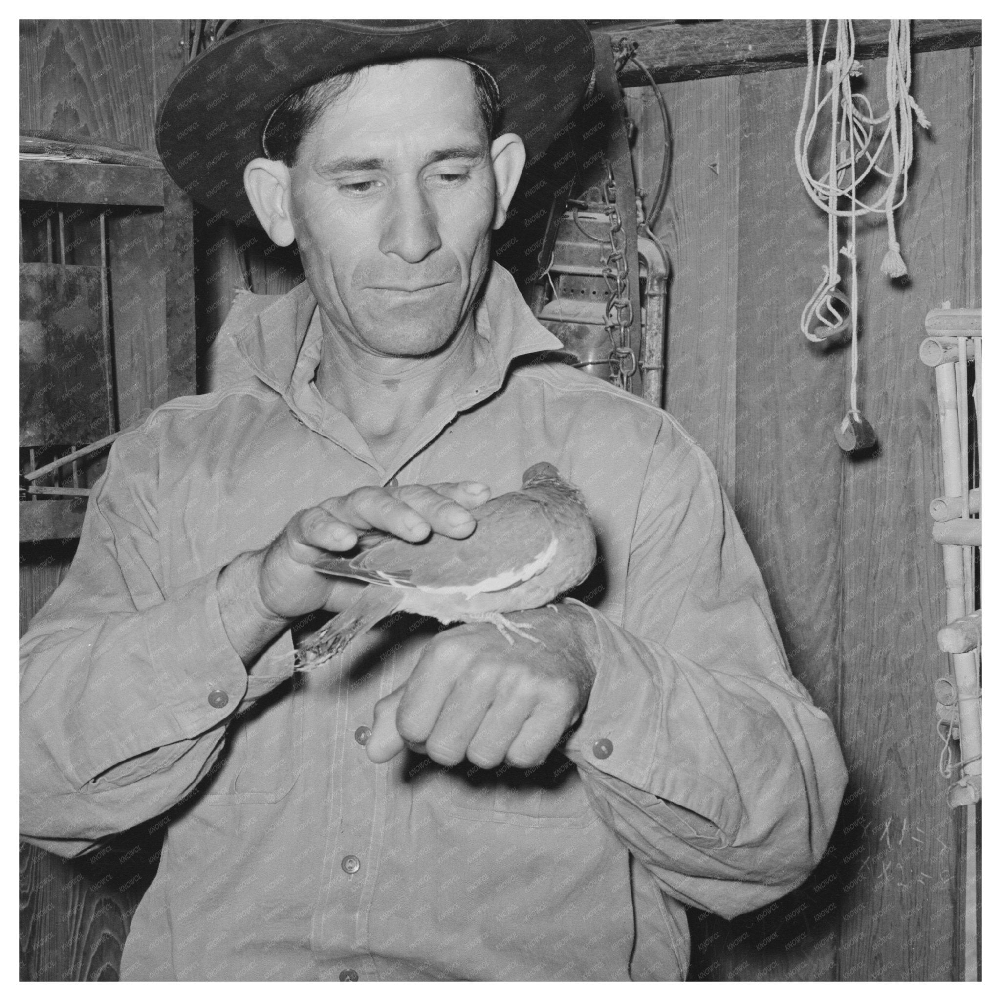 Mexican Individual with Pigeon in Crystal City 1939 - Available at KNOWOL