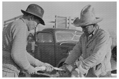 Mexican Labor Contractor Cutting Straw Ties 1939 - Available at KNOWOL