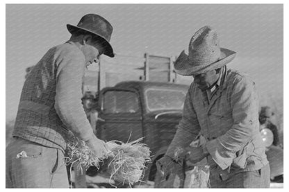 Mexican Labor Contractor Cutting Straw Ties Texas 1939 - Available at KNOWOL