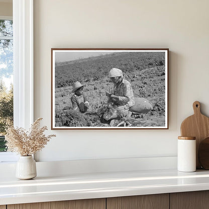 Mexican Laborer and Son Harvesting Carrots Edinburg 1939 - Available at KNOWOL