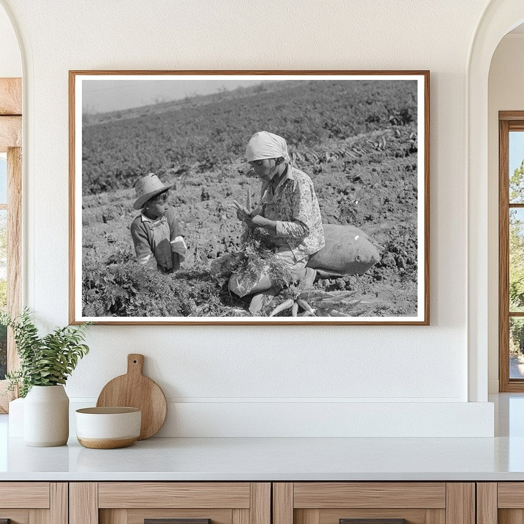 Mexican Laborer and Son Harvesting Carrots Edinburg 1939 - Available at KNOWOL