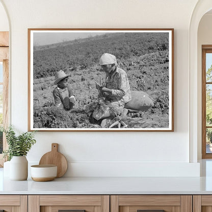 Mexican Laborer and Son Harvesting Carrots Edinburg 1939 - Available at KNOWOL