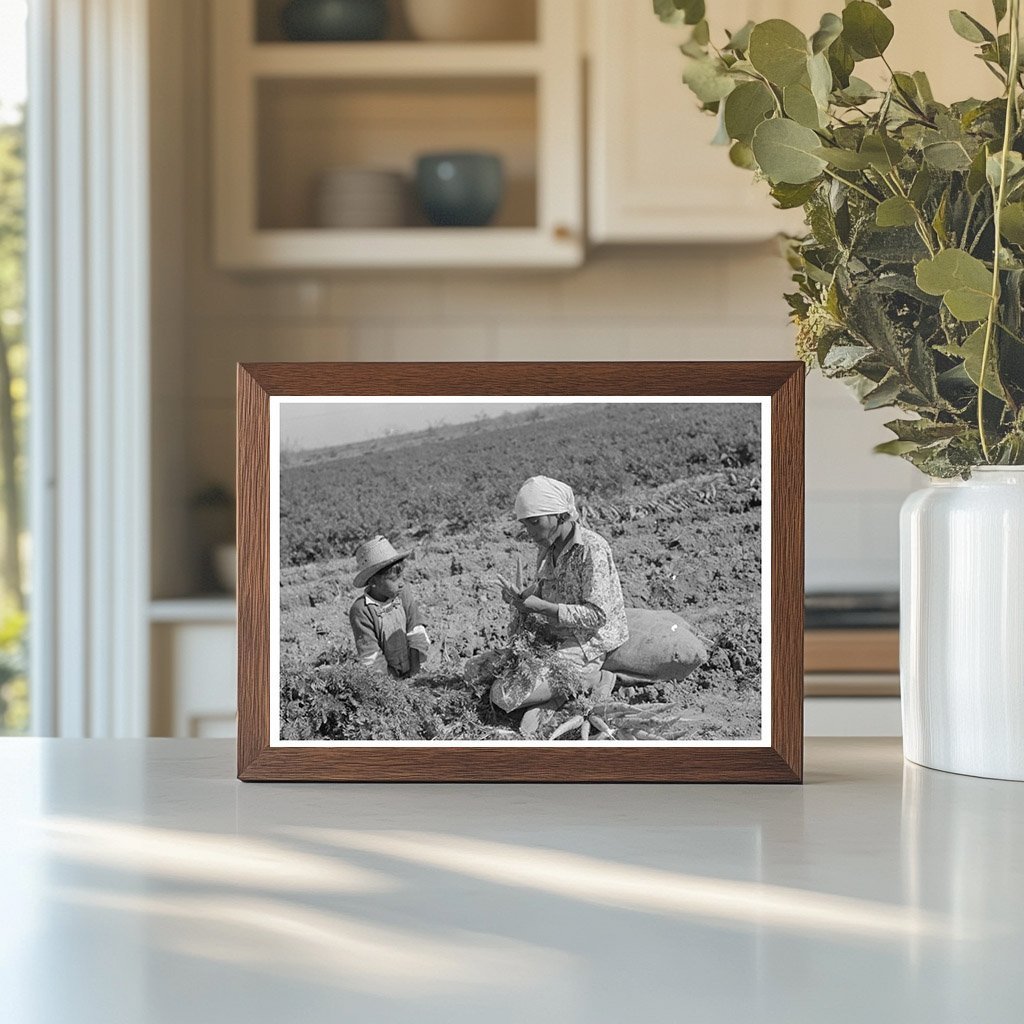 Mexican Laborer and Son Harvesting Carrots Edinburg 1939 - Available at KNOWOL