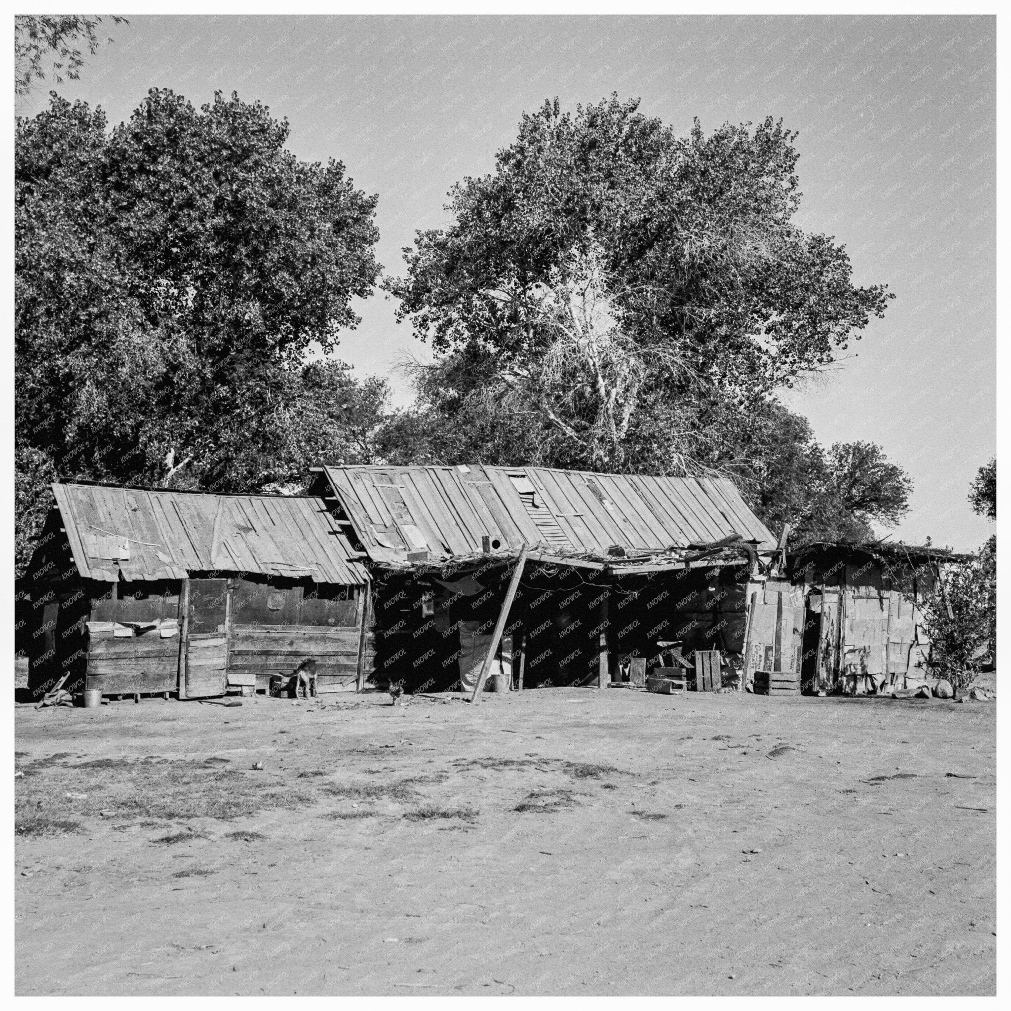 Mexican Laborers House on Cantaloupe Ranch 1938 - Available at KNOWOL