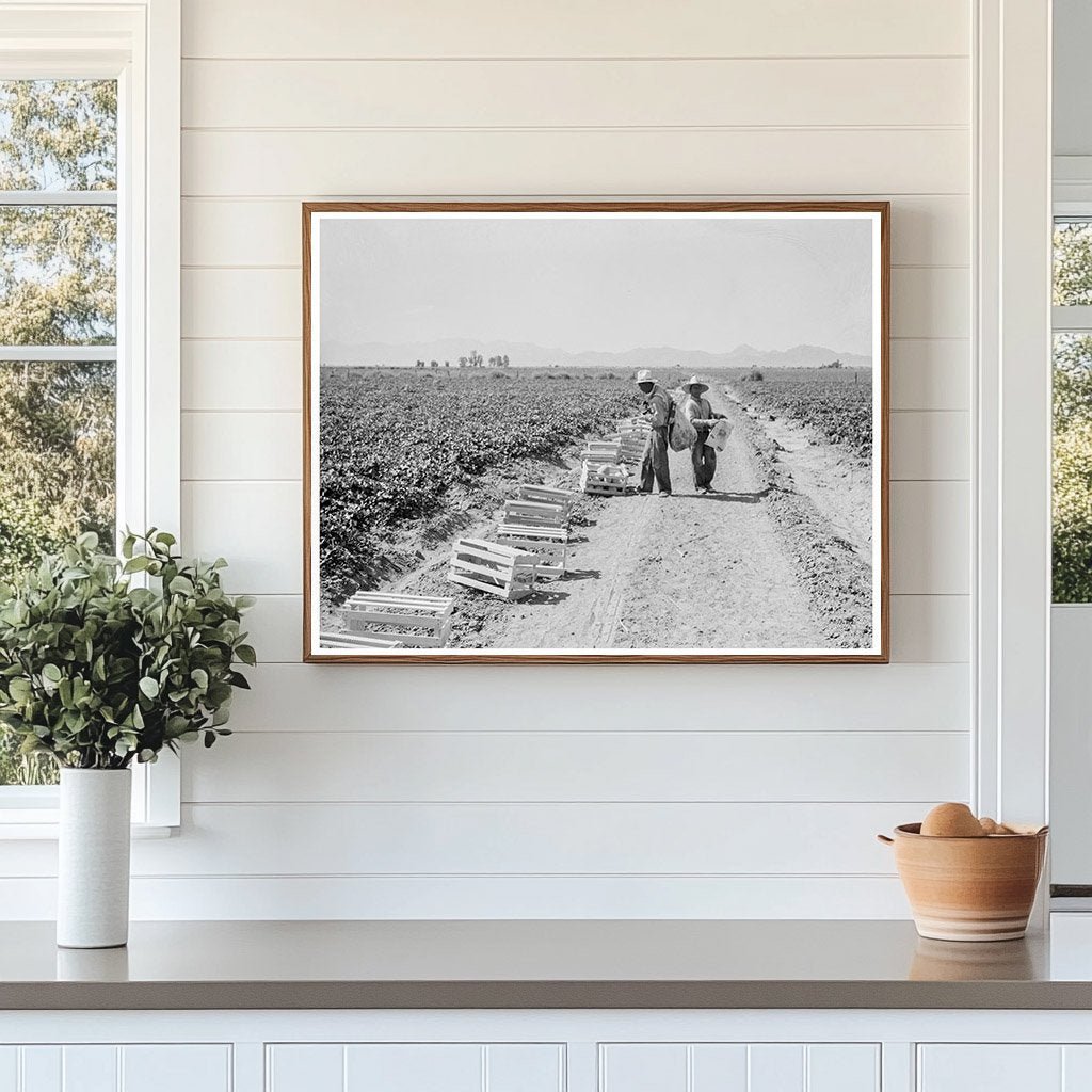 Mexican Laborers Picking Cantaloupes Imperial Valley 1937 - Available at KNOWOL