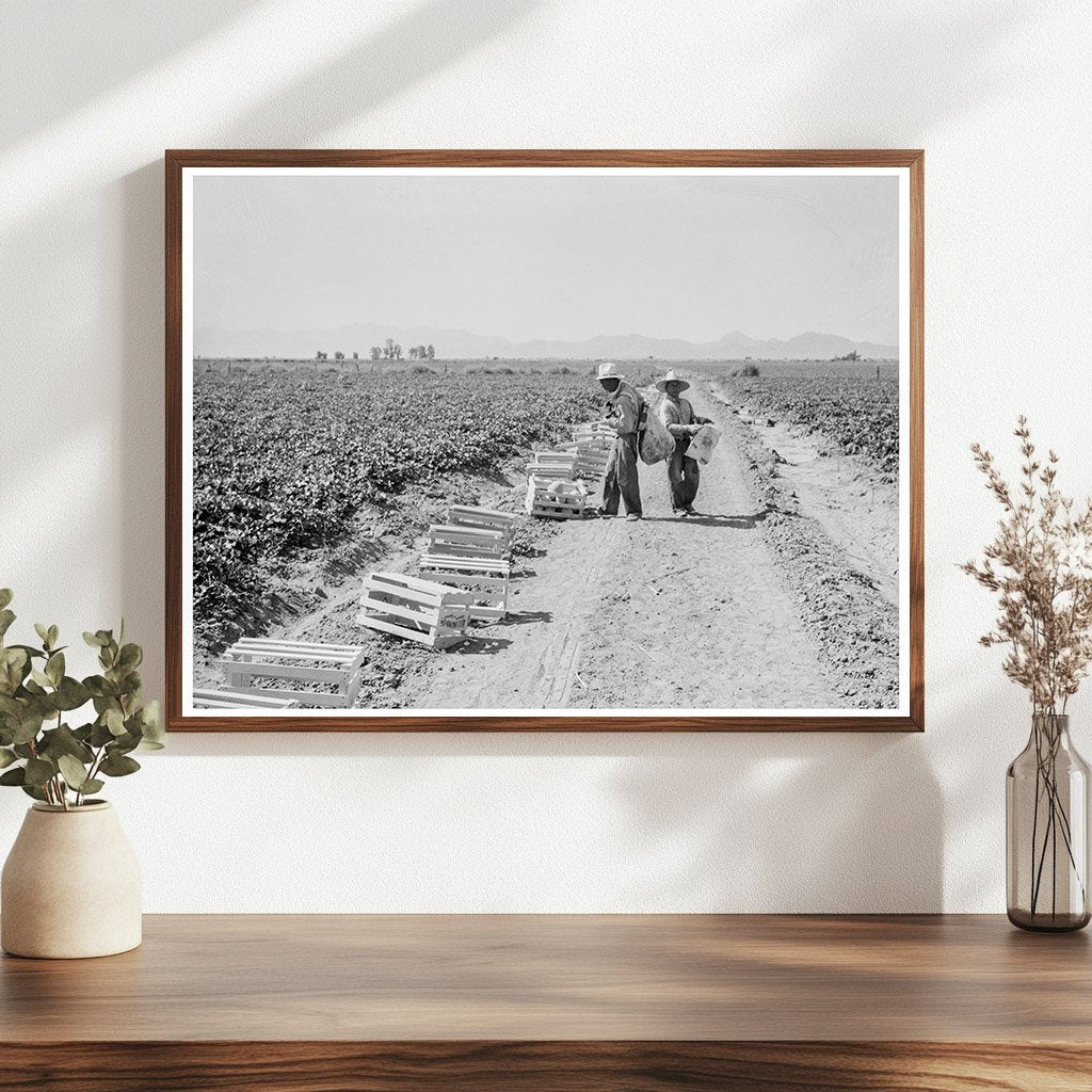 Mexican Laborers Picking Cantaloupes Imperial Valley 1937 - Available at KNOWOL