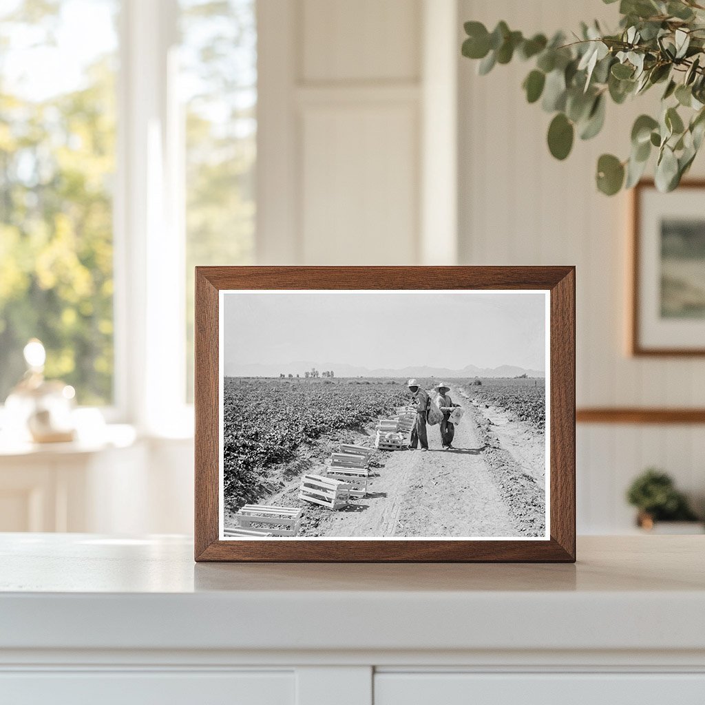 Mexican Laborers Picking Cantaloupes Imperial Valley 1937 - Available at KNOWOL