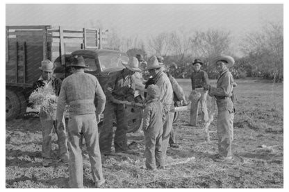 Mexican Laborers Tying Carrots in Santa Maria Texas 1939 - Available at KNOWOL