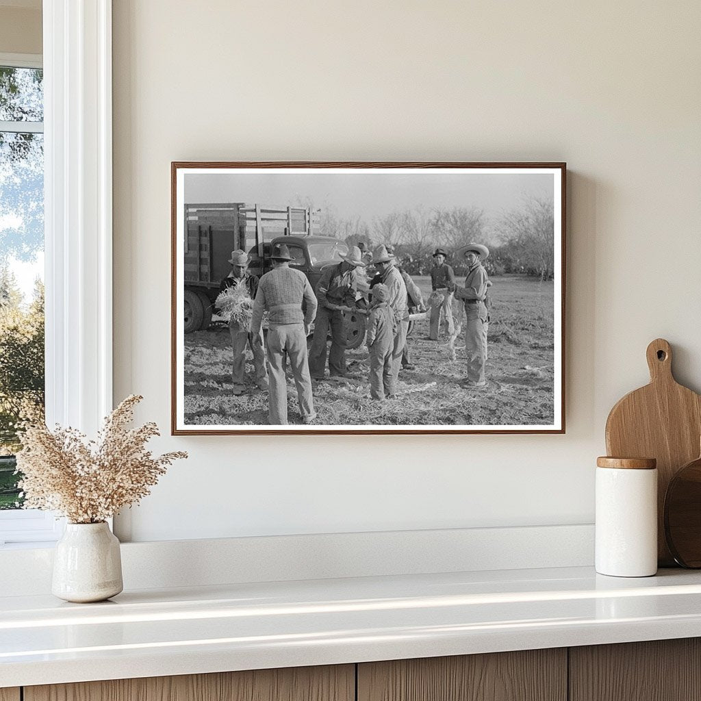 Mexican Laborers Tying Carrots in Santa Maria Texas 1939 - Available at KNOWOL