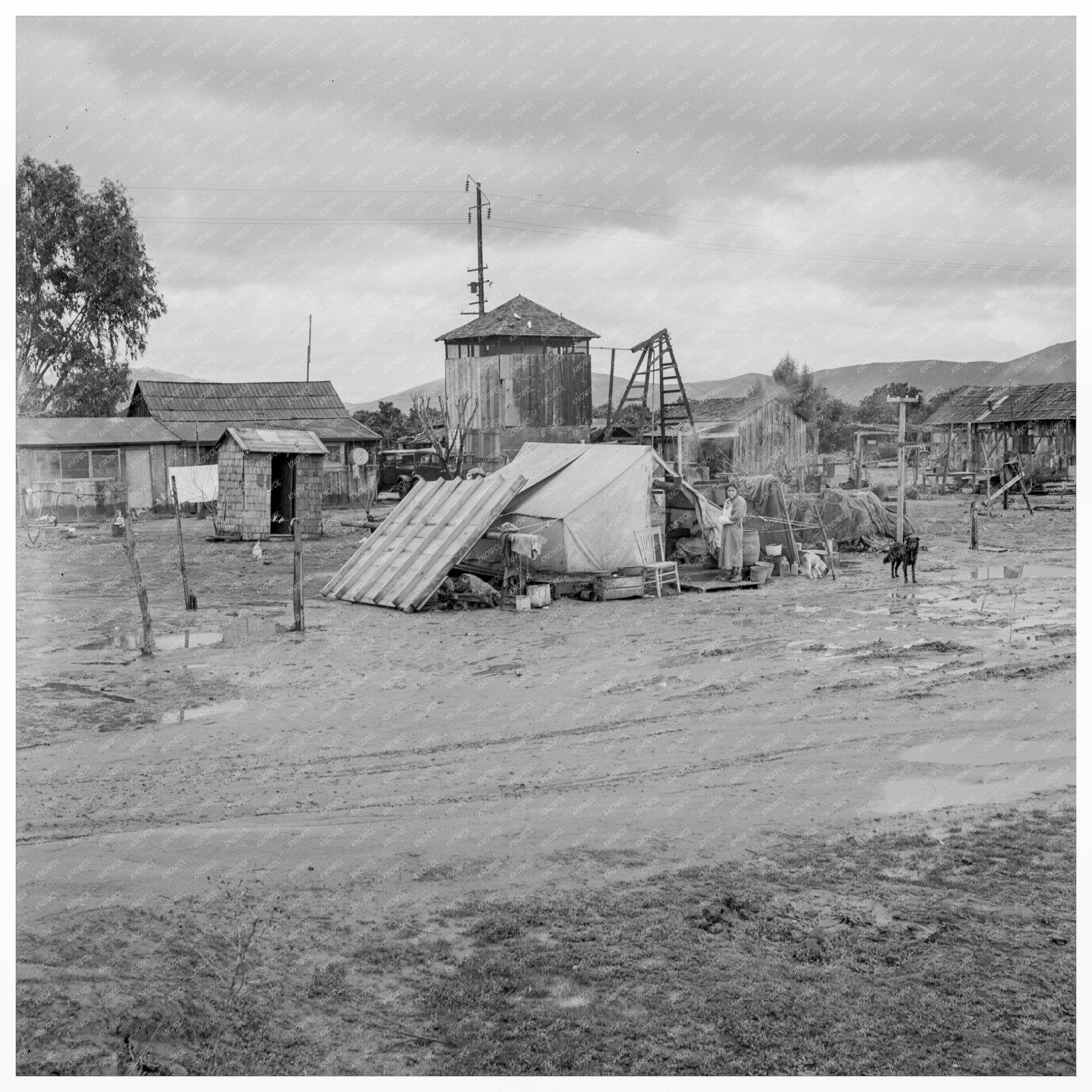 Mexican Migrant Family Camping Strathmore California 1939 - Available at KNOWOL