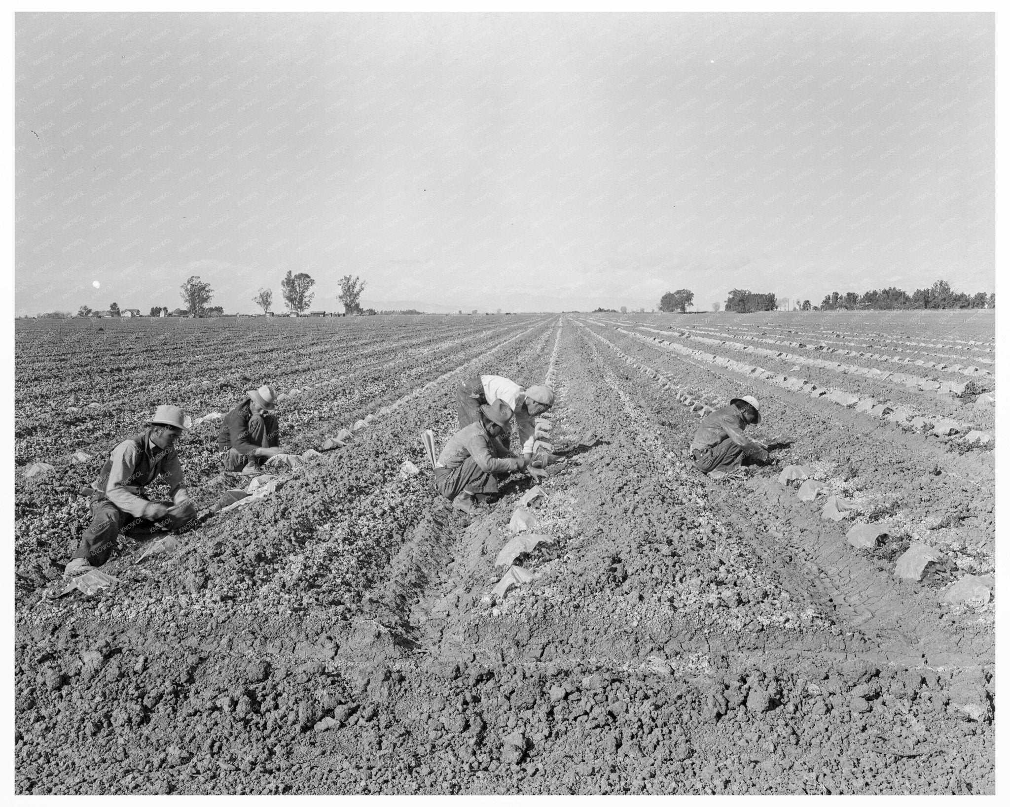 Mexican Migratory Laborers in California 1937 - Available at KNOWOL