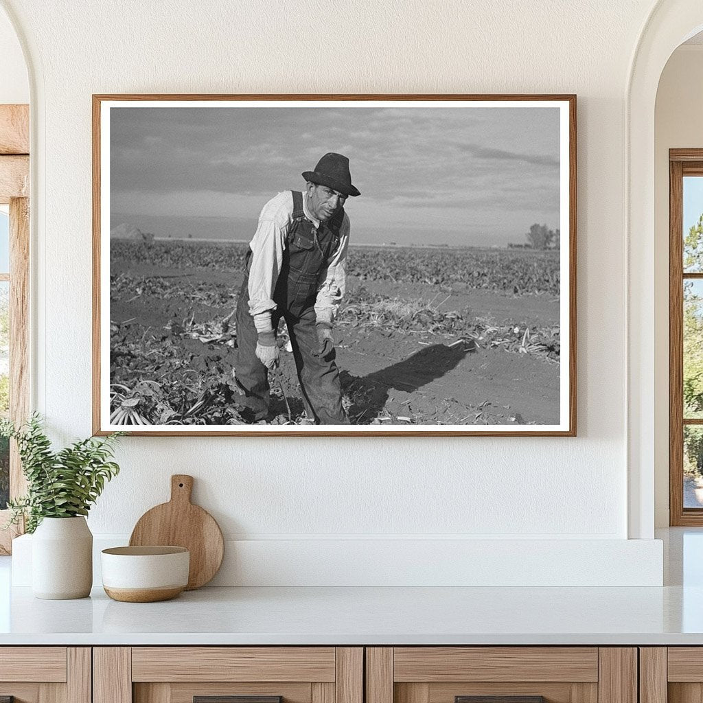 Mexican Sugar Beet Worker Minnesota 1937 - Available at KNOWOL