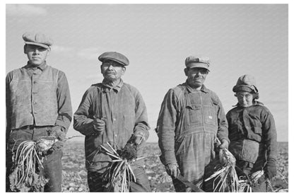 Mexican Sugar Beet Workers Family Minnesota 1937 - Available at KNOWOL