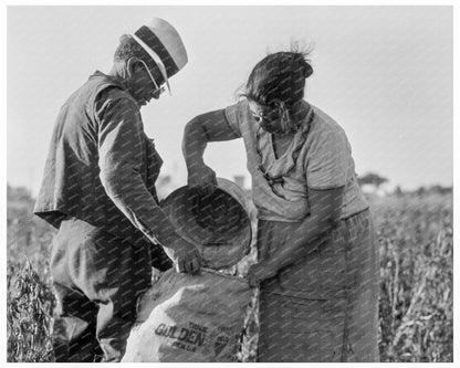 Mexican Townfolk Sacking Peppers Stockton 1936 - Available at KNOWOL