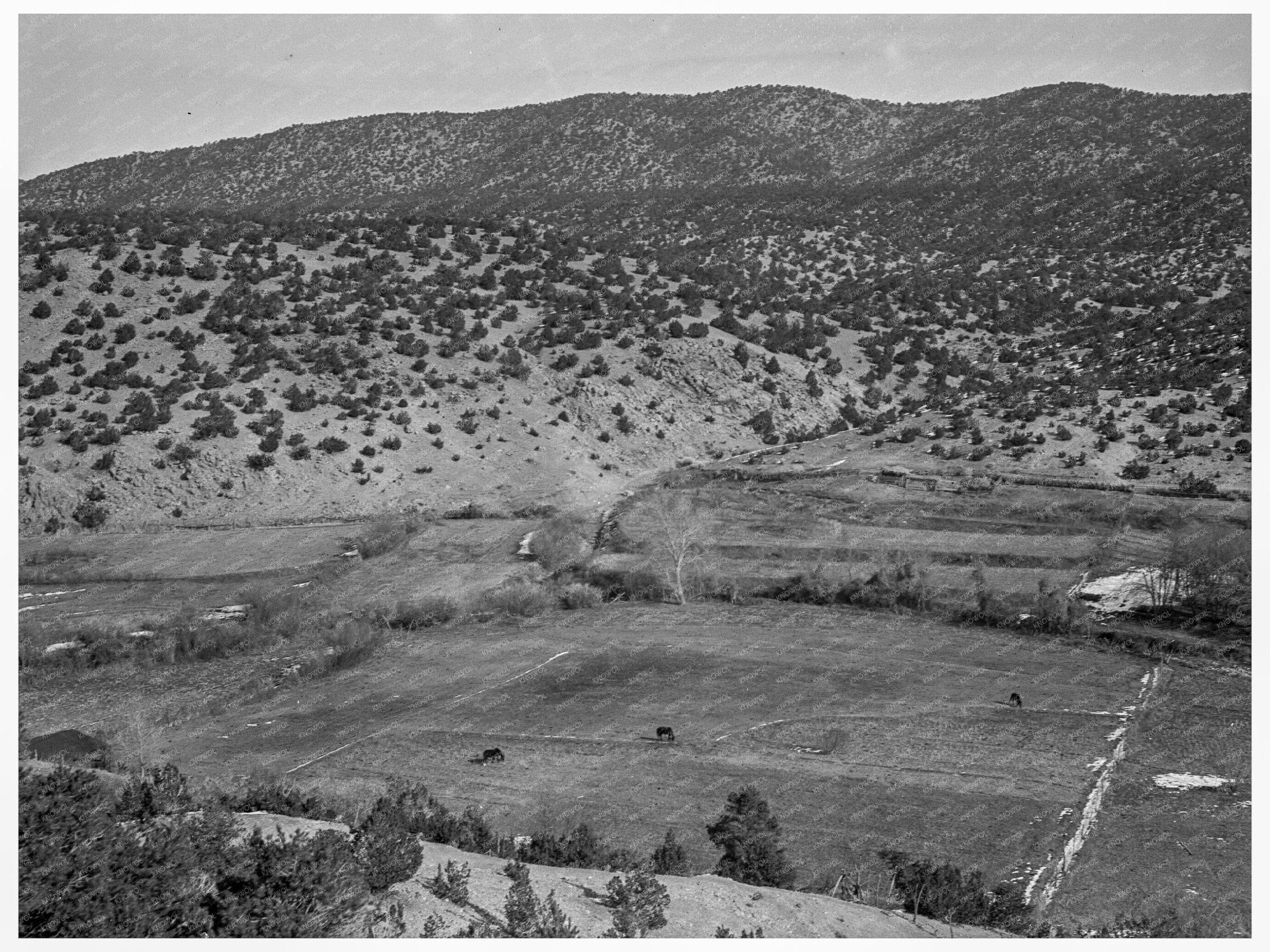 Mexican Village Landscape Tewa Basin New Mexico 1935 - Available at KNOWOL