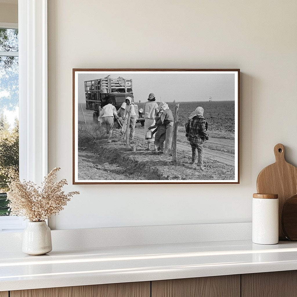 Mexican Women Unloading Truck in Texas Spinach Field 1939 - Available at KNOWOL