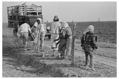 Mexican Women Unloading Truck in Texas Spinach Field 1939 - Available at KNOWOL